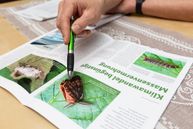 Schädlingsbekämpfung